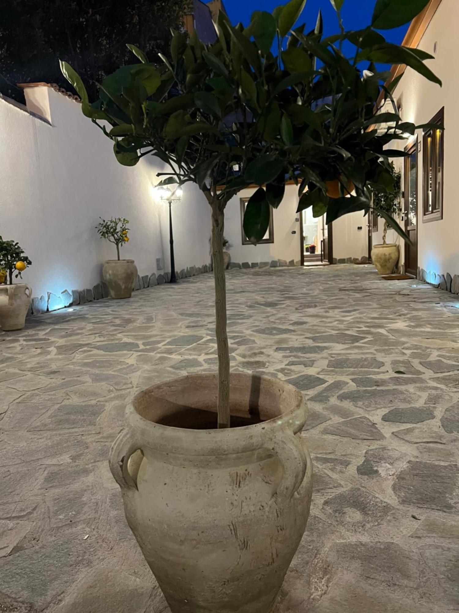Cedros Apartment Palermo Ngoại thất bức ảnh